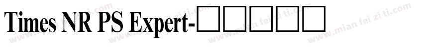 Times NR PS Expert字体转换